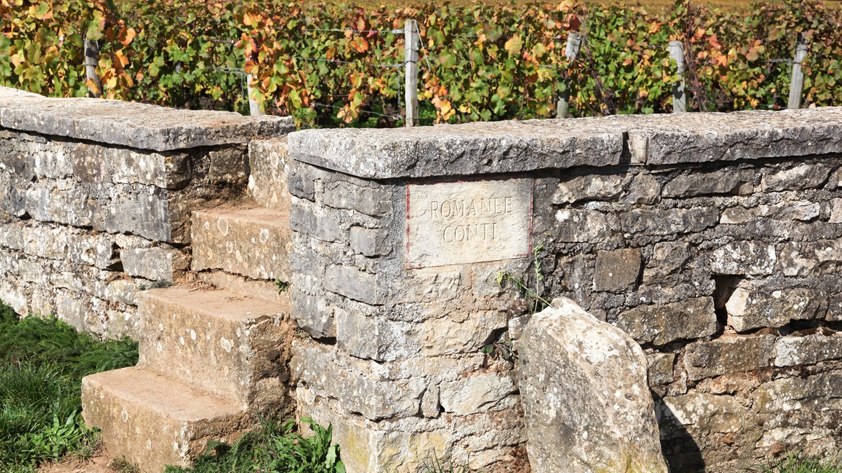 Lire la suite à propos de l’article Grands crus : les huit pépites de Vosne-Romanée