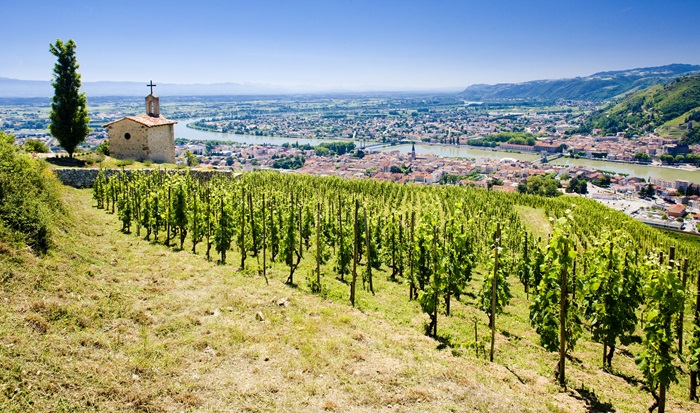 Hermitage ou Ermitage Guide iDealwine d'une appellation de la vallee du Rhone nord