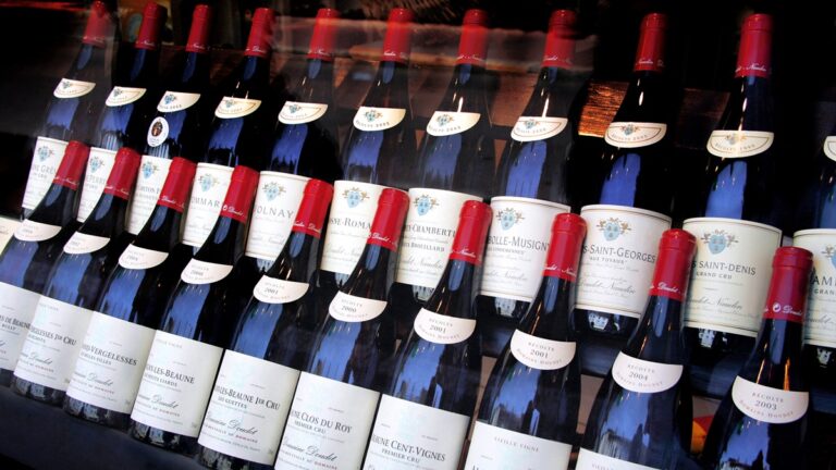 Lire la suite à propos de l’article Pommard 1er cru et Nuits Saint-Georges… Un sommet !