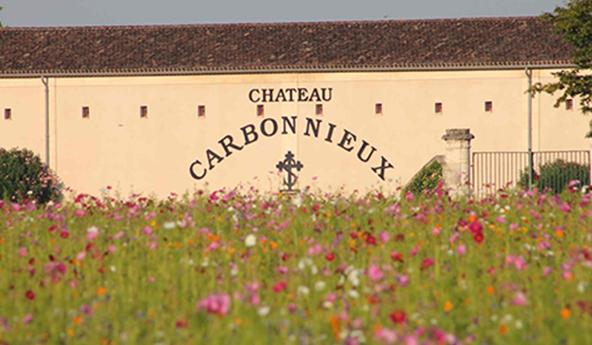 Lire la suite à propos de l’article Didier Dagueneau (Pouilly-sur-Loire), Antony Perrin (Château Carbonnieux) : le monde du vin en deuil