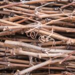 Vocabulaire : suite de notre saga sur les (drôles de) mots du vin
