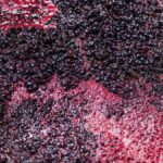 La chaptalisation, du sucre dans le vin