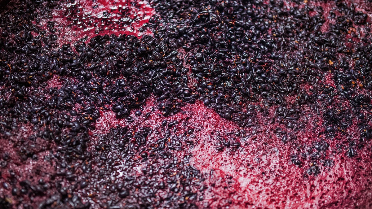 Lire la suite à propos de l’article La chaptalisation, du sucre dans le vin