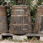 Rivesaltes, comment produit-on un vin doux naturel ?