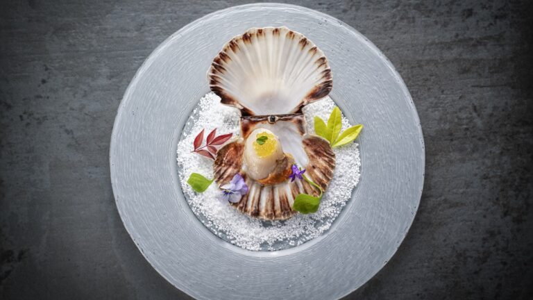 Lire la suite à propos de l’article Coquilles Saint-Jacques à la honfleuraise