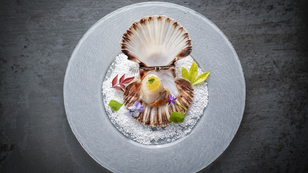 Lire la suite à propos de l’article Coquilles Saint-Jacques à la honfleuraise