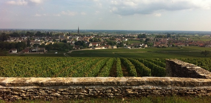 Domaine Jean-Philippe Fichet iDealwine Meursault 5