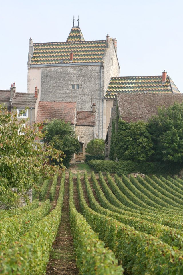 Domaine Jean-Philippe Fichet iDealwine Meursault 2