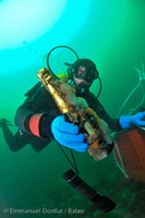 Une bouteille de champagne Roederer vinifié sous la mer - iDealwine Une bouteille de champagne Roederer vinifié sous la mer - iDealwine