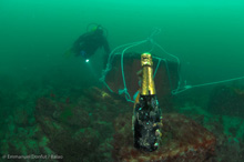 Une bouteille de champagne Roederer sous la mer Une bouteille de champagne Roederer sous la mer
