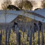Cheval Blanc intègre la branche Vins & Spiritueux du groupe LVMH
