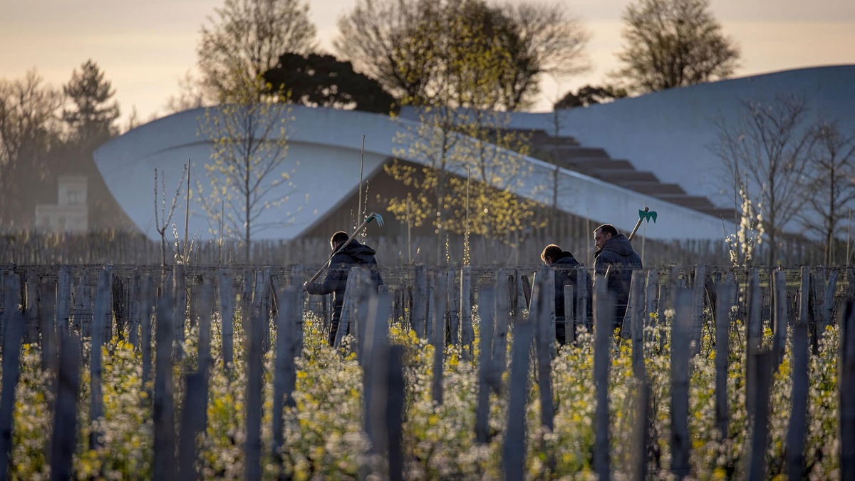 Lire la suite à propos de l’article Cheval Blanc intègre la branche Vins & Spiritueux du groupe LVMH