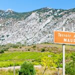 Pleins feux sur une appellation : à la découverte de Maury