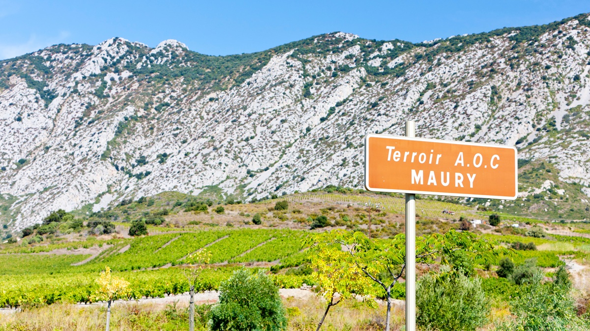 Lire la suite à propos de l’article Pleins feux sur une appellation : à la découverte de Maury