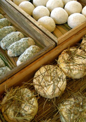 fromages de chèvre