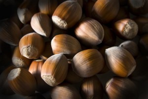 Hazelnut2 Hazelnut2