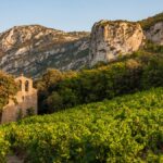 Domaine Madeloc : tout le talent de Pierre Gaillard à Collioure