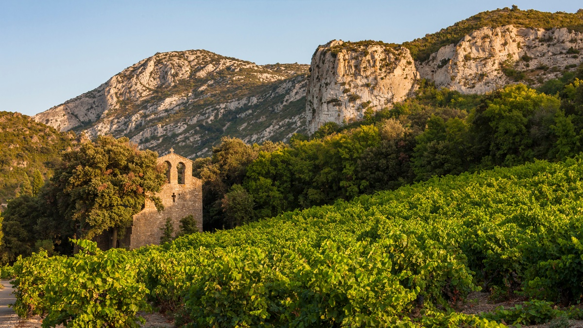 Lire la suite à propos de l’article Domaine Madeloc : tout le talent de Pierre Gaillard à Collioure