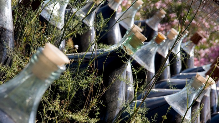 conservation banyuls
banyuls vin
conservation banyuls ouvert
banyuls alcool