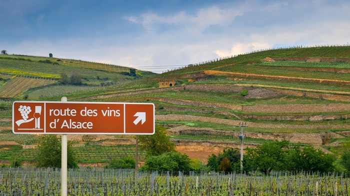 nombre de grand cru en alsace