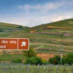 La notion de Grand Cru et de premier cru en Alsace