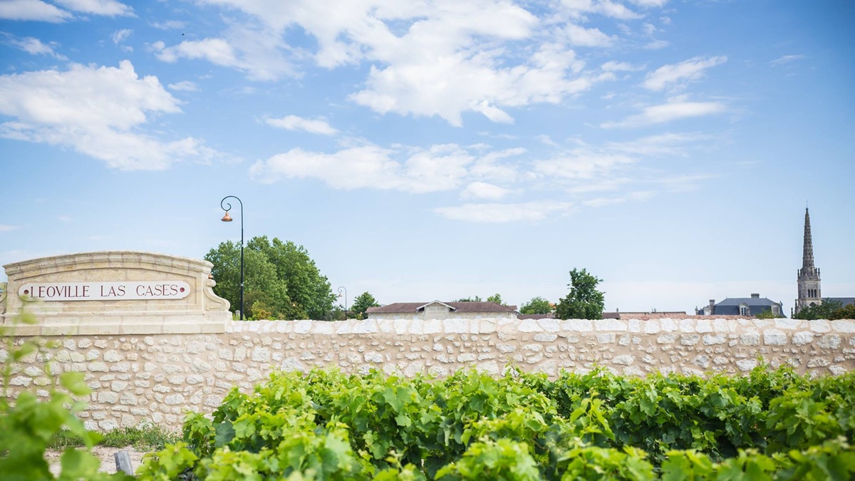 Lire la suite à propos de l’article Petit Lion du Marquis de Las Cases, second vin du Château Léoville Las Cases