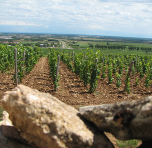 vignoble bourgogne