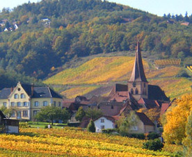 village-alsace premier cru Alsace