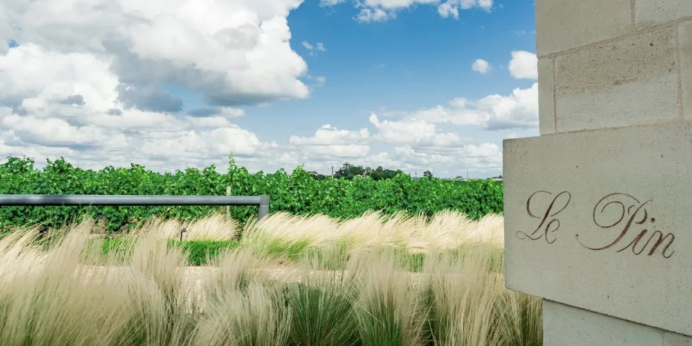 Lire la suite à propos de l’article Jacques Thienpont du Château Le Pin acquiert des vignes à Saint-Emilion