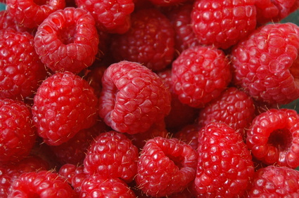 framboises recette charlotte framboise mascarpone fromage blanc
charlotte mascarpone fromage blanc framboise
recette charlotte aux framboises