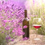 Quels accords avec les vins de Bandol ?