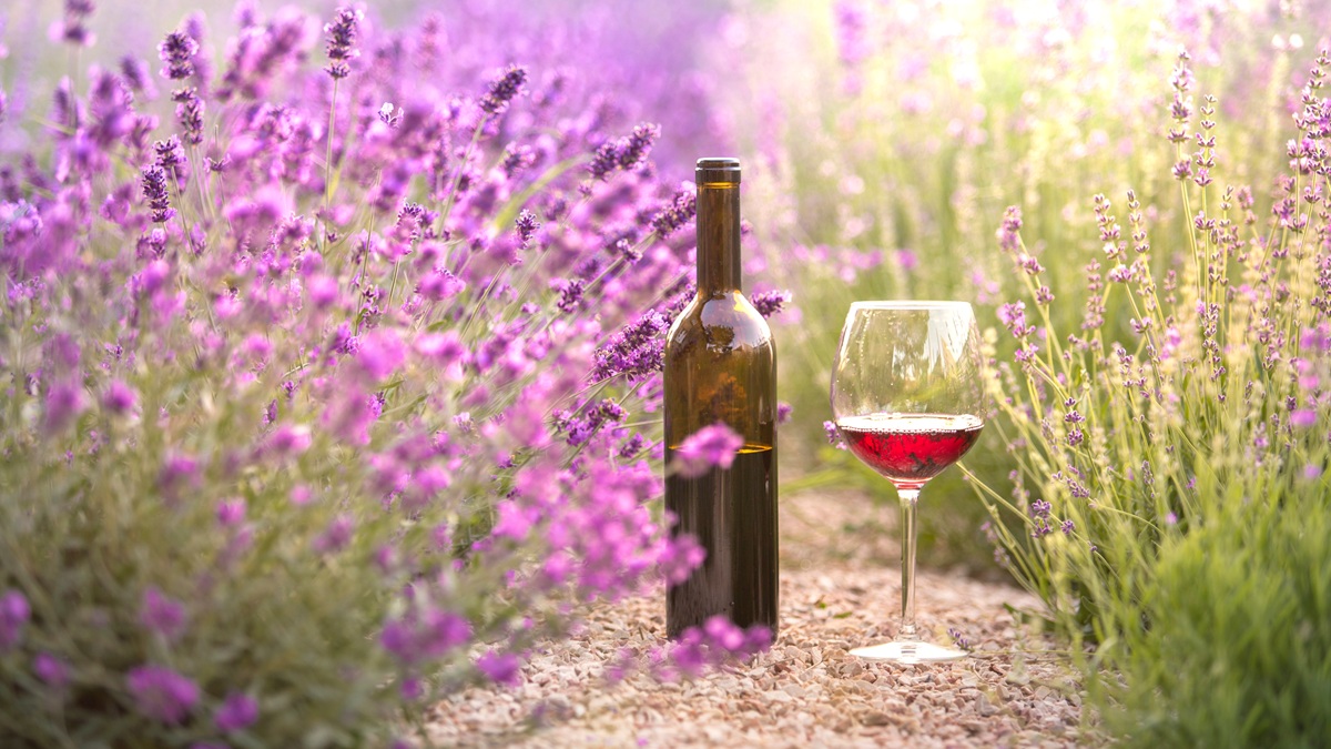 Lire la suite à propos de l’article Quels accords avec les vins de Bandol ?