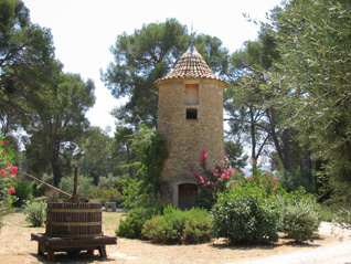 olivette