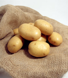 patates