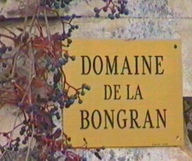 labongran1 domaine de la bongran
bongran
thevenet quitaine