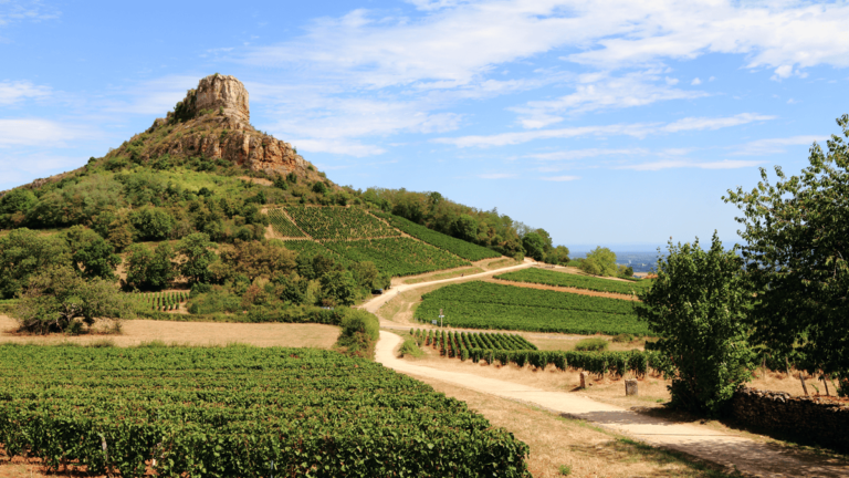 Lire la suite à propos de l’article Quels accords sur les vins de Pouilly-Fuissé et de Saint-Véran ?