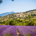 Table d’été : La Cabro d’Or aux Baux de Provence