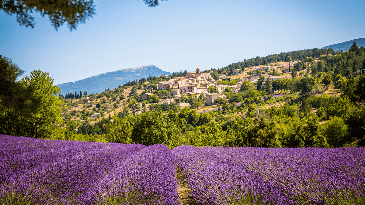 Lire la suite à propos de l’article Table d’été : La Cabro d’Or aux Baux de Provence