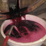 Vinification : le soutirage, c’est quoi ?