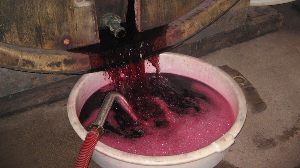 Lire la suite à propos de l’article Vinification : le soutirage, c’est quoi ?