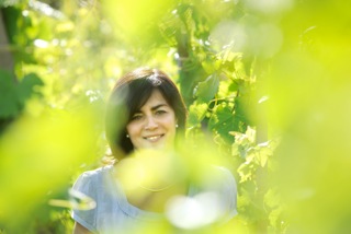 domaine vernay