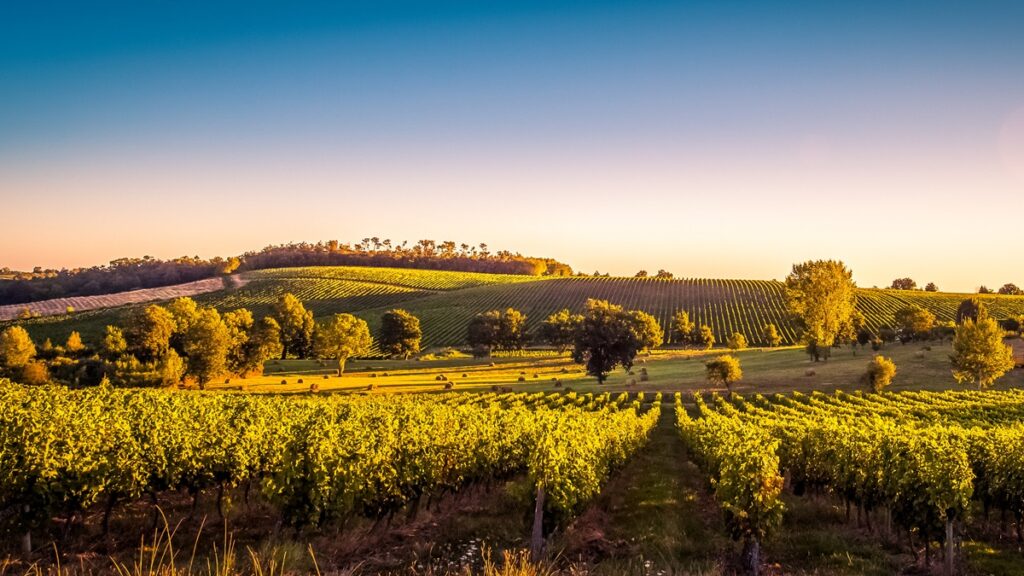 chateau chenu lafitte rachat du vignoble bordelais