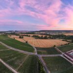 Champagne Laurent Perrier : décès de Bernard de Nonancourt *