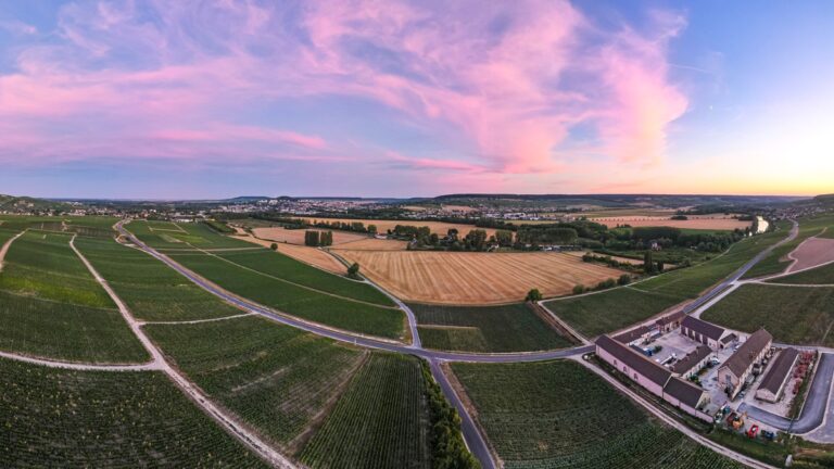 Lire la suite à propos de l’article Champagne Laurent Perrier : décès de Bernard de Nonancourt *