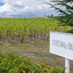 Ces belges propriétaires de vignes en France