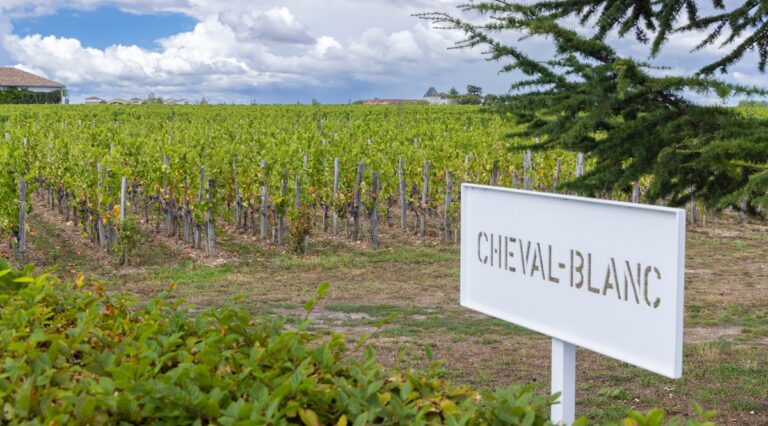Lire la suite à propos de l’article Ces belges propriétaires de vignes en France