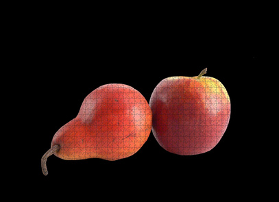 Poire et pomme en PUZZLE Poire et pomme en puzzle
quel vin boire avec des fruits
vin au poire