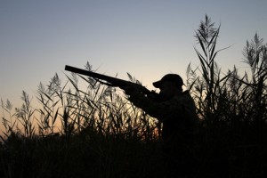 chasseur chasseur