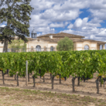 Bordeaux 2000 : LA valeur de placement par excellence