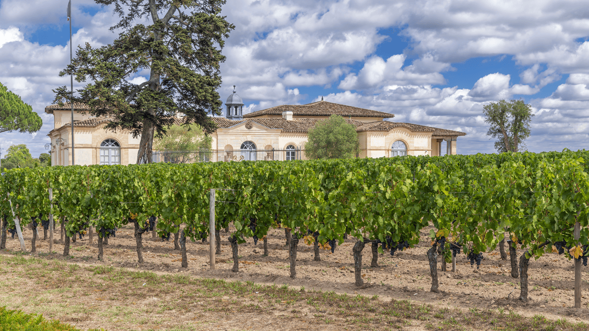 Lire la suite à propos de l’article Bordeaux 2000 : LA valeur de placement par excellence